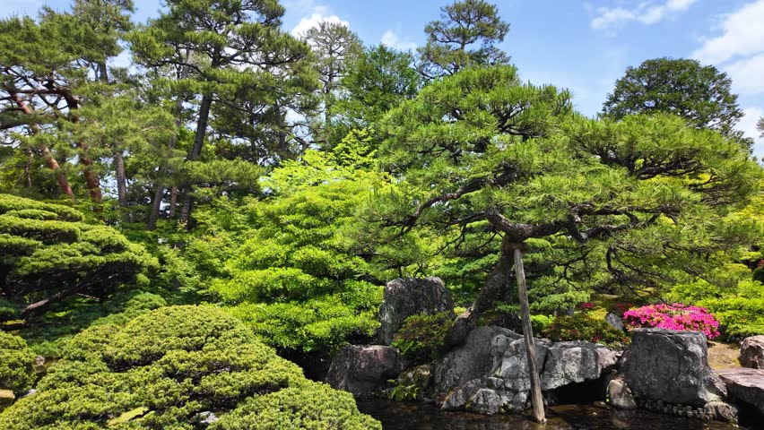 Japanese garden in Kyoto, Japan, with flowers, stones, water, and trees