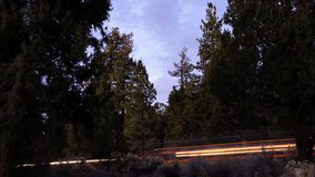 Light trails from cars driving past dark forest from sunset dusk to darkness - Powered by Shutterstock - Get 15% off with code: PIKWIZARD15