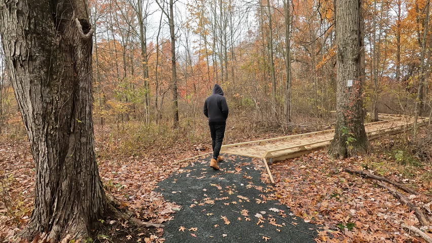 young man hiking on the boardwalk trail in the swamp in the fall