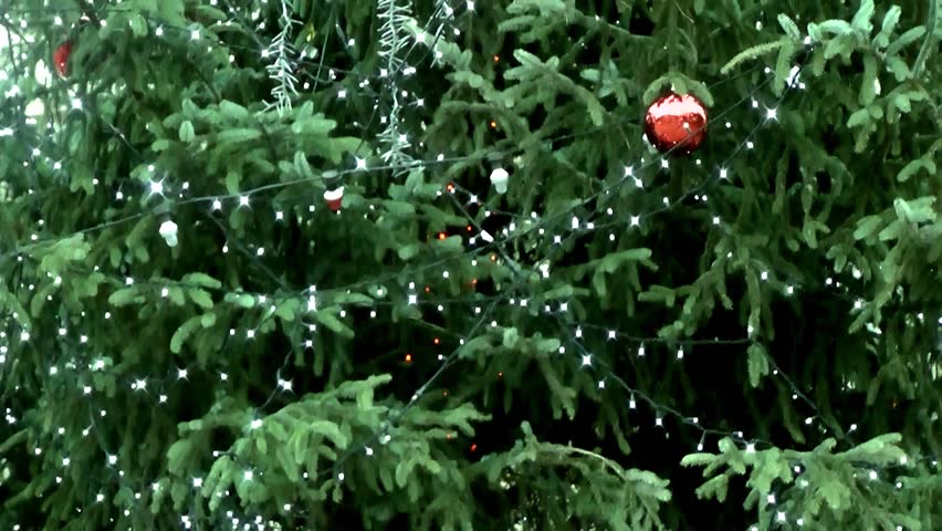 Christmas Tree with lighting