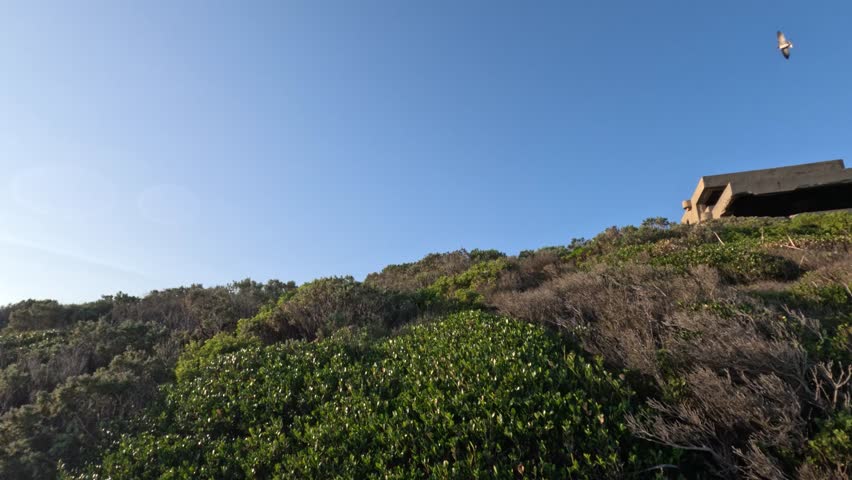 Scenic hillside with fort and flying bird