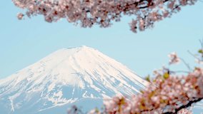 4K : Landscape Mount Fuji in spring season with cherry tree in full bloom,at Lake kawaguchiko in japan. - Powered by Shutterstock - Get 15% off with code: PIKWIZARD15