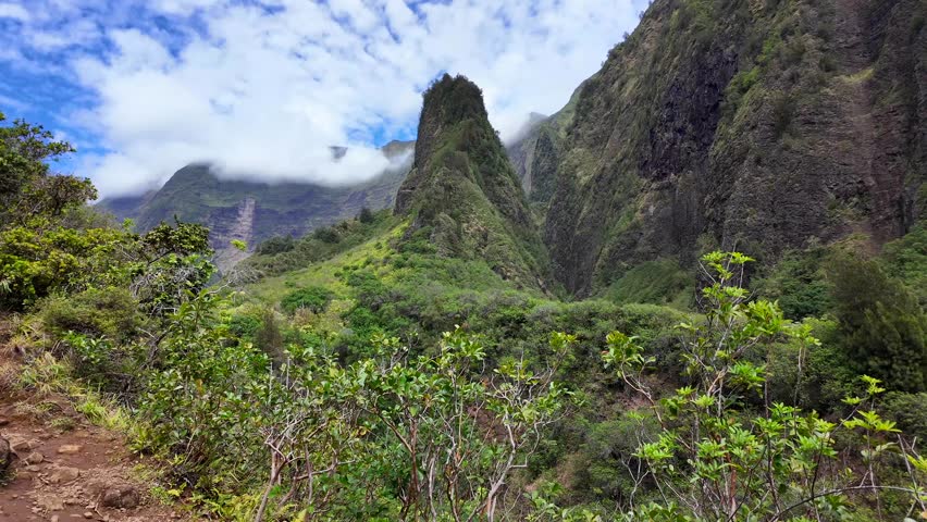 Īao Valley is a lush, stream-cut valley in West Maui, Hawaii, located 3.1 miles west of Wailuku.