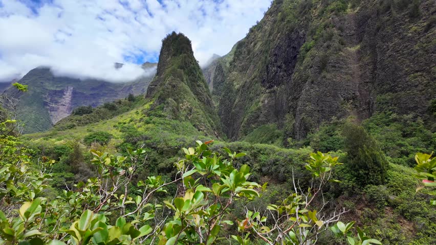 Īao Valley is a lush, stream-cut valley in West Maui, Hawaii, located 3.1 miles west of Wailuku.