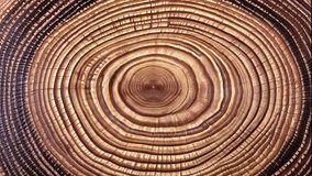 Move or cause to move in a circle around an axis or center. A close-up view of a tree trunk cross-section, revealing detailed growth rings that radiate outward from the center. - Powered by Shutterstock - Get 15% off with code: PIKWIZARD15