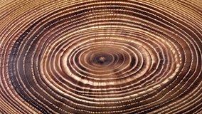 Move or cause to move in a circle around an axis or center. A close-up view of a tree trunk cross-section, revealing detailed growth rings that radiate outward from the center. - Powered by Shutterstock - Get 15% off with code: PIKWIZARD15