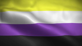 Non-binary flag waving animation, six stripes flag, perfect looping, 4K video background, official colors - Powered by Shutterstock - Get 15% off with code: PIKWIZARD15