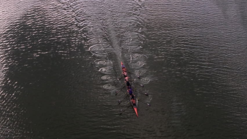 Rowing team smoothly gliding on tranquil water. Synchronized movements highlight teamwork and coordination against peaceful scenery