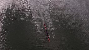 Rowing team smoothly gliding on tranquil water. Synchronized movements highlight teamwork and coordination against peaceful scenery - Powered by Shutterstock - Get 15% off with code: PIKWIZARD15