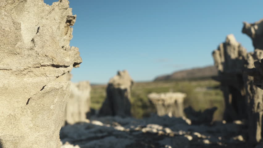Mono Lake stalagmites in tufa_close up