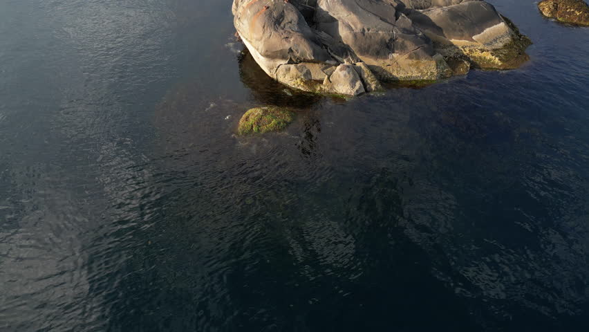 The Fisherman