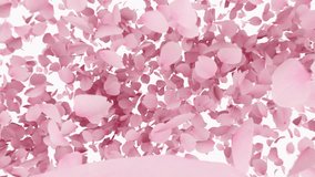 Cherry Blossom Burst on Pastel Background. 3D rendering. Cherry blossom burst and all fall from the scene. - Powered by Shutterstock - Get 15% off with code: PIKWIZARD15
