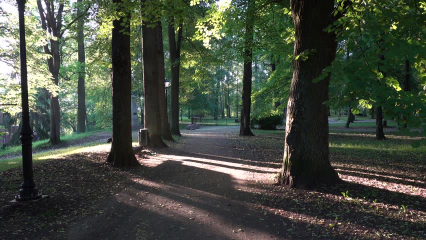 Tartu, Estonia A male tourist walks through the Toome Hill Park, or Cathedral Hill Park,  in the early morning light. 
