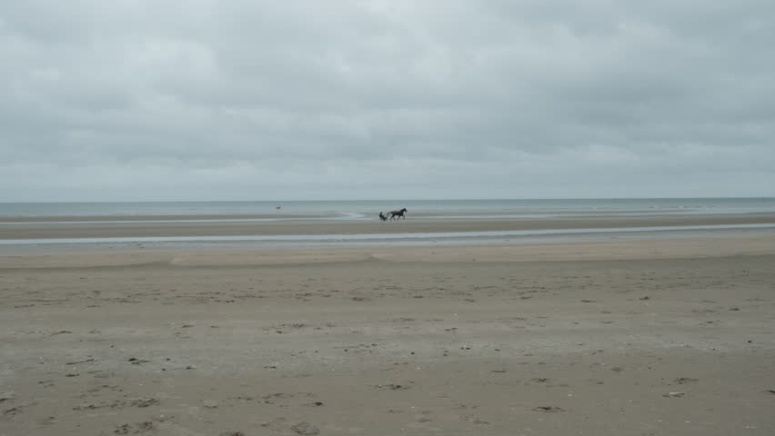 Utah Beach, the place where allied forces landed on the beach of the Normandy to fight back the Nazis in WWII.