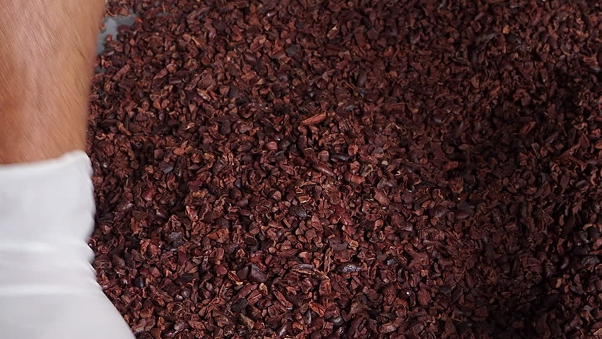 Cacao nibs, Quality control of cocoa nibs, and the Process of making chocolate