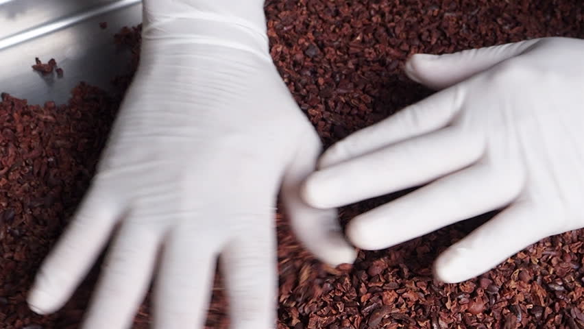 Cacao nibs, Quality control of cocoa nibs, and the Process of making chocolate
