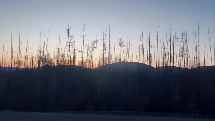 Evening shot from a car window while driving through a small forest with mountains in the background in the last minutes of sunset. Travel content for road trips. High quality FullHD footage