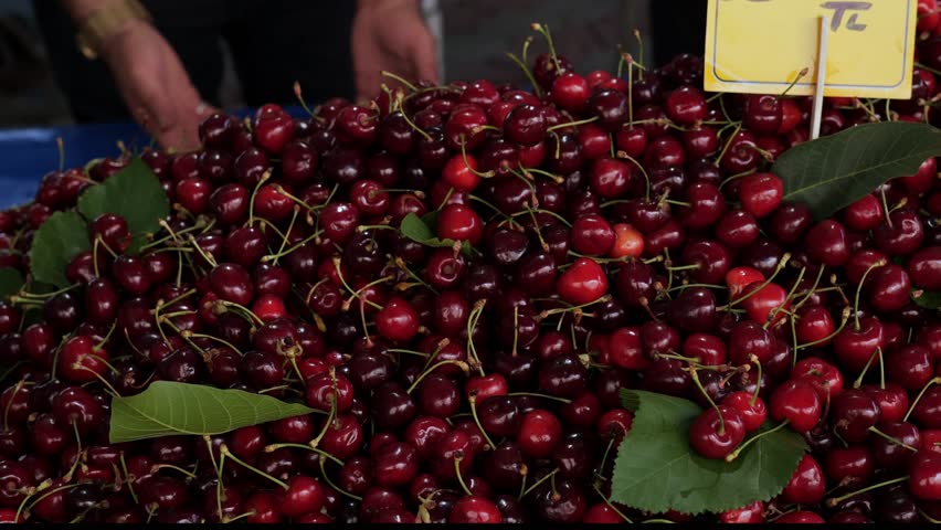 Ripe cherries at street market. Fresh cherries with stems. Red summer berries. 