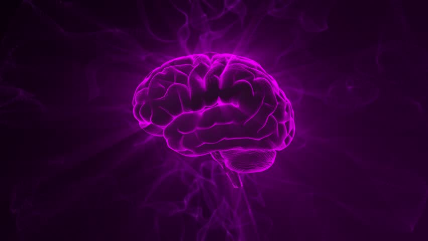 Looped animation of human brain spinning with smoke waves on a background. Abstract purple screensaver for science, biology, anatomy, education, mental strength and artificial intelligence. 4k 60 fps