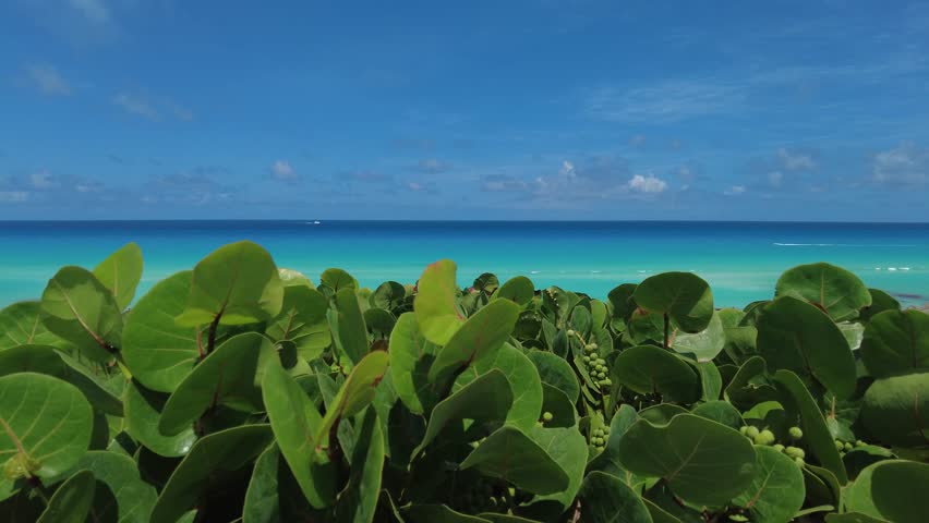 Aerial view of Cancun Hotel Zone from el Mirador