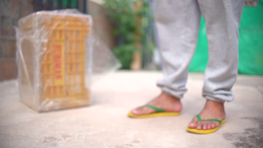 Cute small baby cats litter at basket learning to walk outdoors. Adorable new-born kittens portrait. 