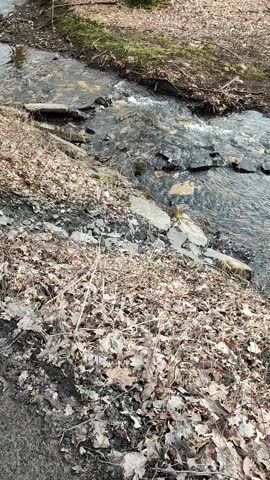 Download Distortion Stretch Transitions - aedownload.com