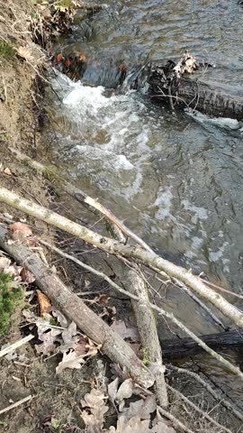 Download Distortion Stretch Transitions - aedownload.com