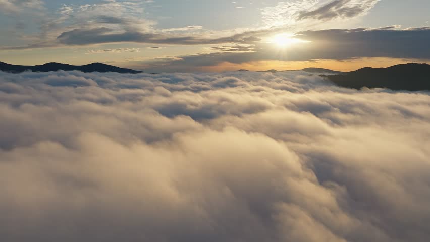 Shutterstock Video