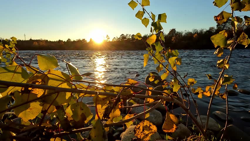 sunset along the banks of the Ticino in the national park