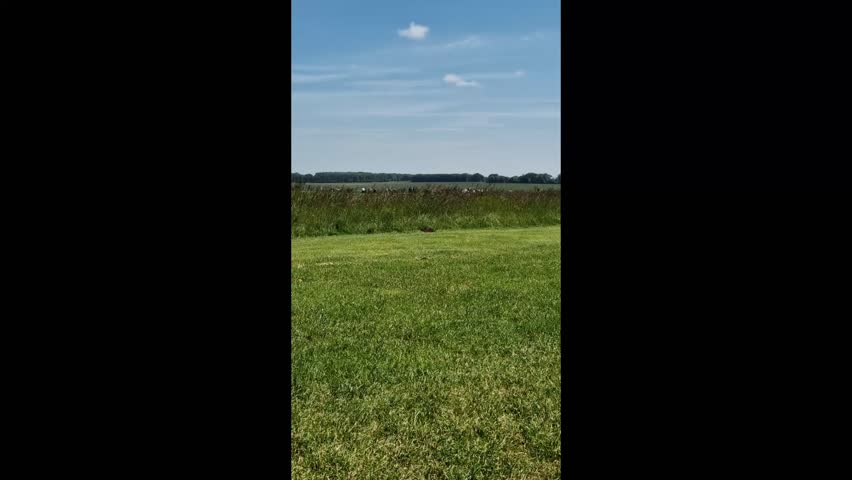 Stonehenge under a Clear Blue Sky