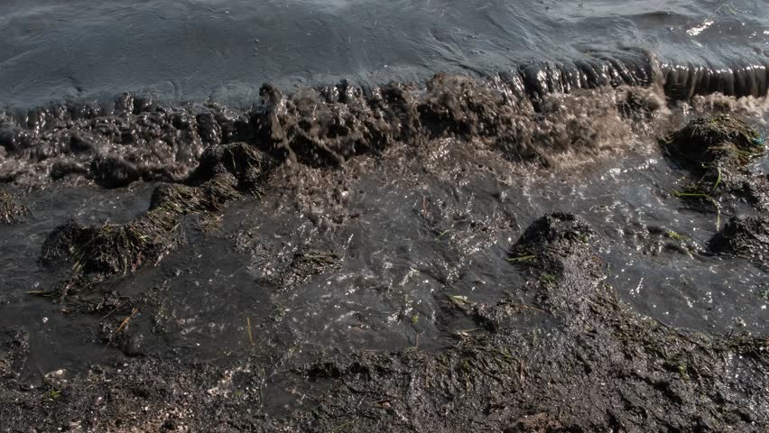 Polluted sea shore near fishing port. Dark water water pollution