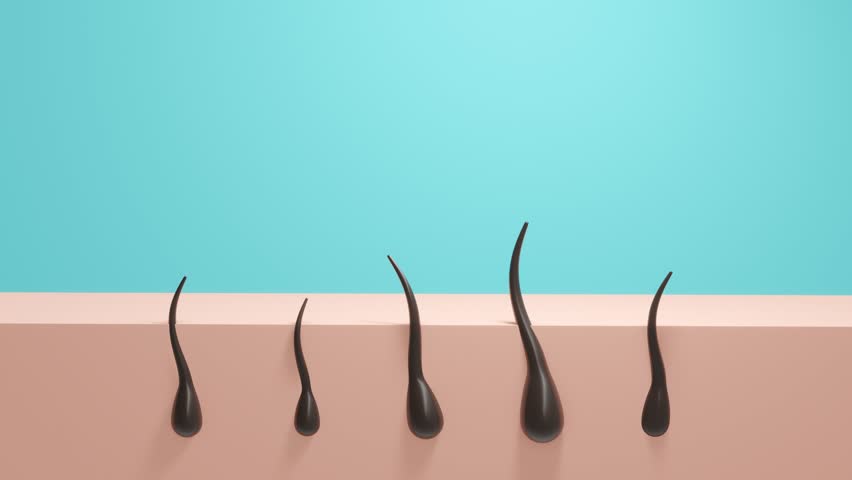 Hair growth from skin. Abstract animation