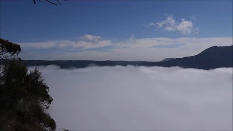 morning mist in the Blue Mountains, Australia