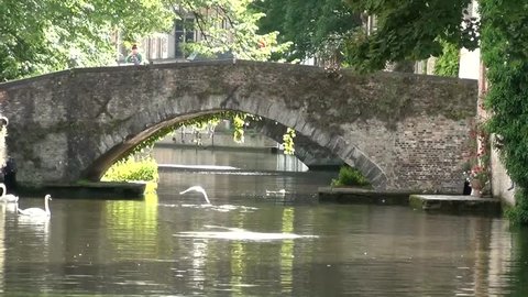 Stone bridge and swans