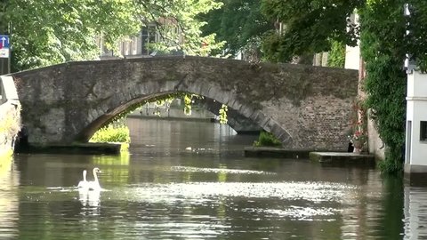Stone bridge and swans