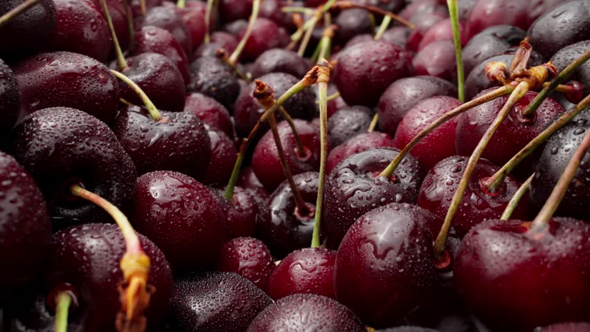 Glistening red cherries adorned with droplets of water. Ripe dark red cherries. Camera slowly moves across surface of fruit, highlighting texture and color of cherries. Dolly shot in 4K, UHD