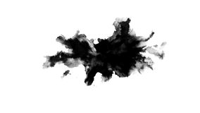 Black ink drop on white background - Powered by Shutterstock - Get 15% off with code: PIKWIZARD15
