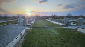 Smart Farming on Chicken Poultry Farm with Infographic Statistic of Automation and Monitoring System. Aerial drone shoot at sunset - Powered by Shutterstock - Get 15% off with code: PIKWIZARD15