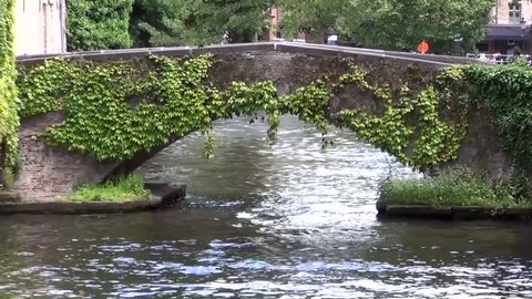 Stone bridge with verdure