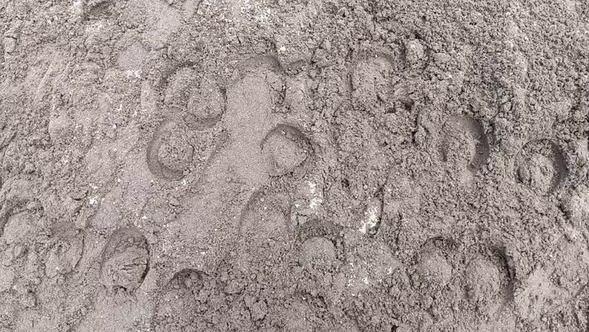 the traces of horse hooves left in the sand when repeatedly passed