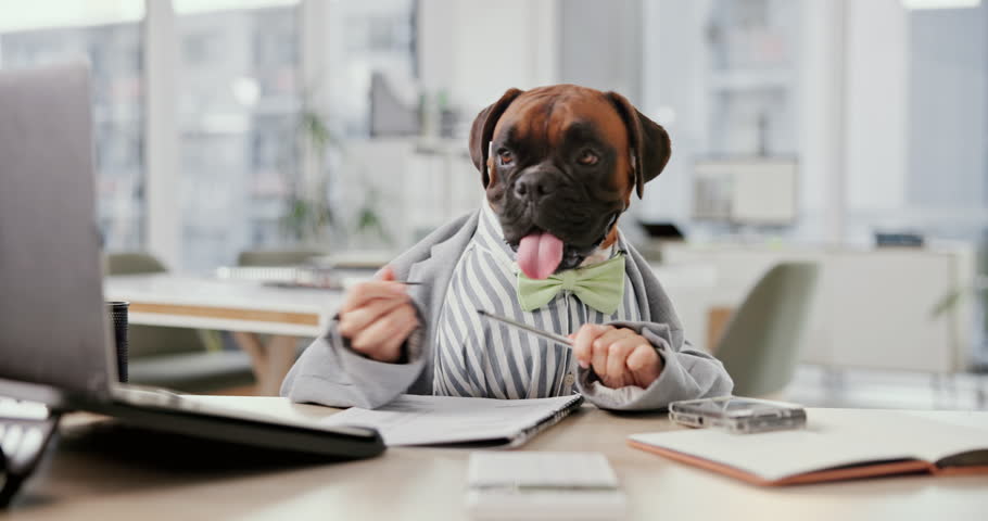 Office, business and dog at desk writing notes for working, career and job for corporate agency. Pet friendly, animal and person in professional workplace on laptop for research, website and internet