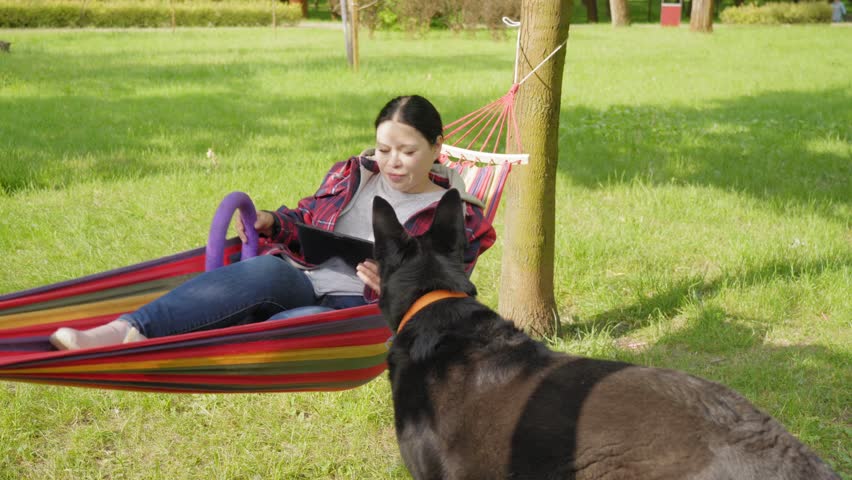 Happy attractive mature Asian woman swaying in hammock , browsing social media content online on digital tablet and playing with adorable dog while relaxing with black shepherd in summer park.