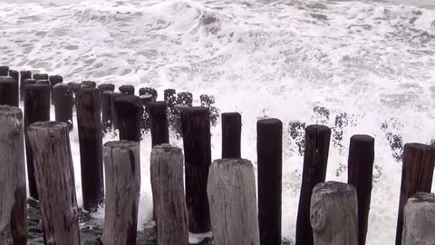 Wooden groynes on the North Sea