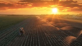 Aerial view drone shot of irrigation system on agricultural cabbage field and farmers with tractor working at sunset helps to grow plants in the dry season. Beautiful sunny landscape rural scene - Powered by Shutterstock - Get 15% off with code: PIKWIZARD15