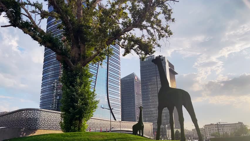 Area of ​​business real estate and skyscrapers