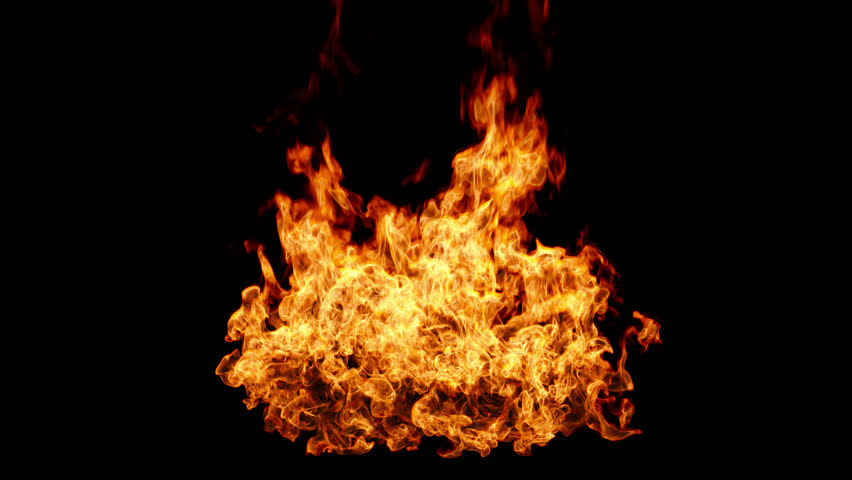 fire and flame on alpha channel. realistic fire isolated. burning fire on the ground. fire visual effect