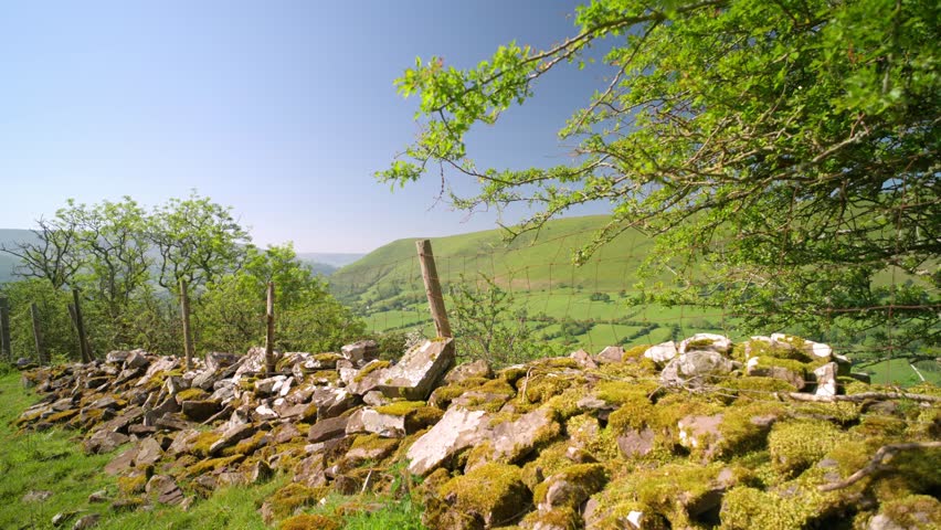 Beautiful summer scenery in lush green hills. Crane shot rising over trees reveal green hills and pastures. Traditional dry stone wall foreground. Welsh scenery from Black Mountains Brecon Beacon