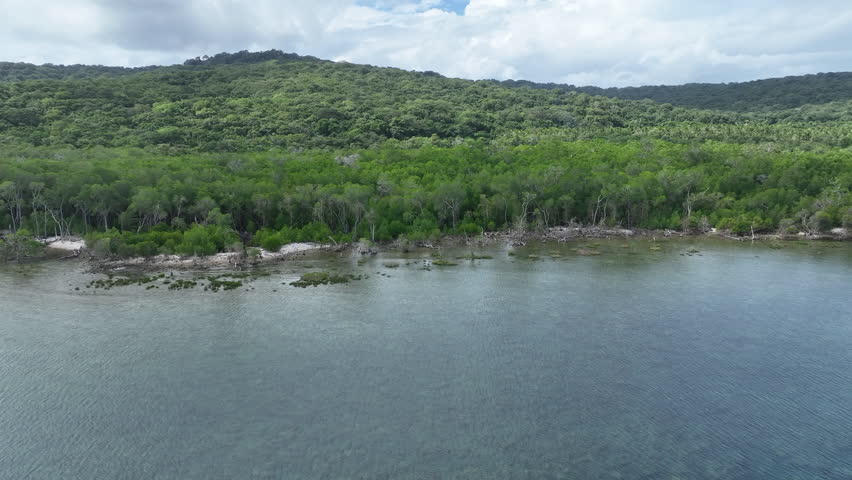 Thick rainforest covers a scenic and remote island, Pulau Selu, in the Tanimbar Islands of Indonesia. This tropical area harbors beautiful coral reefs and a wide diversity of fishes.