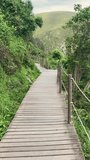 A breathtaking journey with this vertical video capturing the scenic walk over the wooden deck in Tsitsikamma National Park, South Africa. Mobile content of walking between lush greenery in nature.