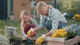 Pretty family working together during sunny day. Cute blond daughter with gardening tool digging hole for planting. Loving mother looking at work process and smiling. Teamwork. - Powered by Shutterstock - Get 15% off with code: PIKWIZARD15